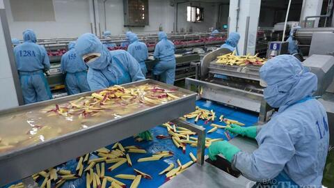 Lâm Đồng: Dư địa lớn nhưng thiếu ‘cú hích’ đầu tư chế biến sâu