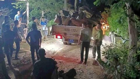 Xử lý gần 190 vụ xâm hại rừng trong cao điểm mùa khô ở Đắk Lắk