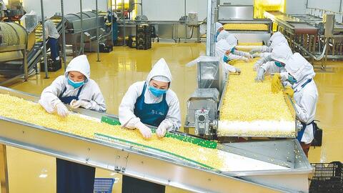 Ngành ngân hàng Khu vực 11: Dẫn dòng tín dụng, kích hoạt động lực tăng trưởng Tây Nguyên