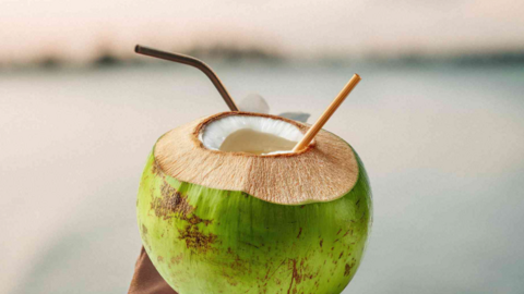 Uống nước dừa buổi sáng đúng cách: Lợi ích bất ngờ cho sức khỏe