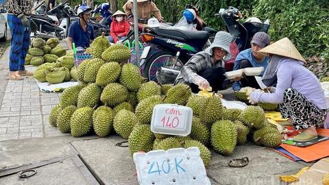Sầu riêng hai giá: Cần giải pháp căn cơ để ổn định thị trường tiêu thụ