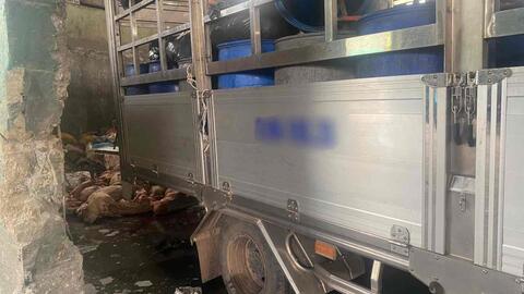 Phát hiện 1 tấn thịt heo thối đang được vận chuyển trên xe tải ở TPHCM