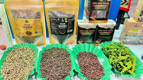 Giá tiêu hôm nay 12/5/2026: Duy trì ổn định từ 141.000-144.000 đồng/kg
