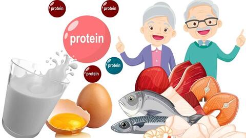 4 bữa sáng giàu protein ngăn mất cơ, tốt cho đôi chân người cao tuổi