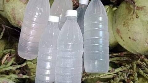 Cách uống nước dừa trong mùa hè tốt cho chức năng gan