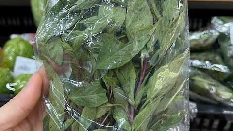 Cách thải độc gan bằng rau húng quế