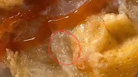 Đình chỉ tiệm bánh mì bán xôi có dòi bò lúc nhúc ở Quảng Trị