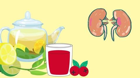 Thức uống bổ thận không thể bỏ qua trong cuộc sống hằng ngày