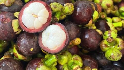 Mách bà nội trợ tác dụng hỗ trợ giảm cân của măng cụt