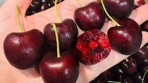 Công thức làm nước ép anh đào hỗ trợ đào thải axit uric