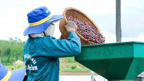Gia Lai thu hút thêm gần 1.620 tỷ đồng vốn đầu tư chỉ trong một tuần