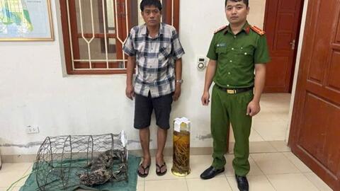 Ngâm rượu tay gấu, một người đàn ông ở Ninh Bình bị khởi tố