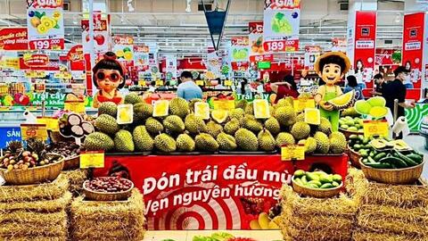 Gia Lai: Công nghiệp tăng 9,52%, xuất khẩu vượt 2,1 tỷ USD 6 tháng đầu năm