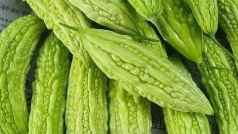 Nhóm rau có vị đắng tốt cho gan