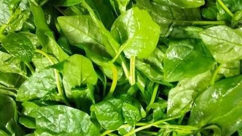 Loại rau hỗ trợ kiểm soát mỡ máu