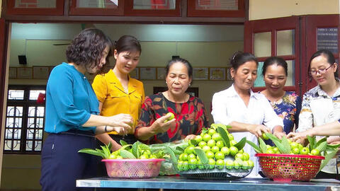Đất Phù Sa nở hoa: Khi ổi găng Đông Dư mang lại kinh tế cho người nông nhân