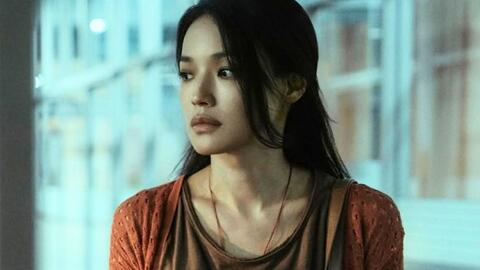 Thư Kỳ và hành trình thực hiện thụ tinh trong ống nghiệm hàng chục lần