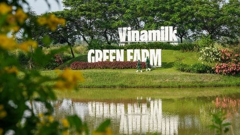 Vinamilk tiếp tục mang về nguồn cổ tức nghìn tỷ cho SCIC