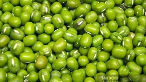 Loại chè giải nhiệt người bệnh thận nên hạn chế ăn