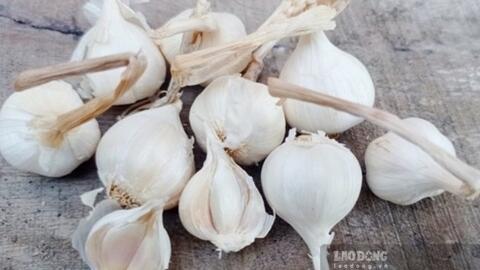 10 thực phẩm quen thuộc trong căn bếp giúp hỗ trợ thải độc gan