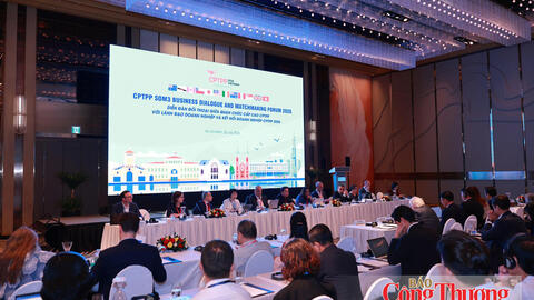 Hiệp định CPTPP đẩy mạnh hỗ trợ doanh nghiệp nhỏ và vừa 