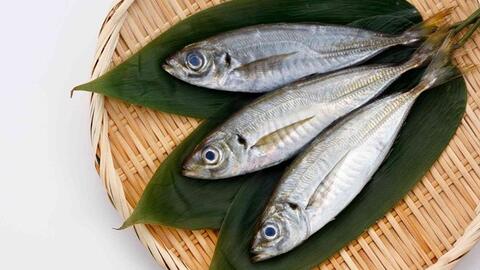 4 loại cá giàu omega-3 góp phần hỗ trợ đường huyết