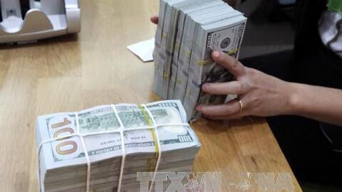 Tỷ giá USD hôm nay 28/7/2026: Tỷ giá trung tâm tăng 10 đồng