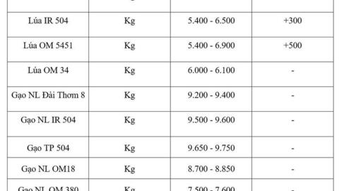 Giá lúa gạo hôm nay ngày 31/7/2026: Lúa tươi đồng loạt tăng
