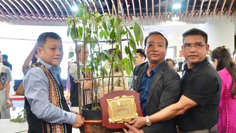 Doanh nghiệp Gia Lai trúng đấu giá cây sâm Ngọc Linh 35 năm tuổi làm thiện nguyện