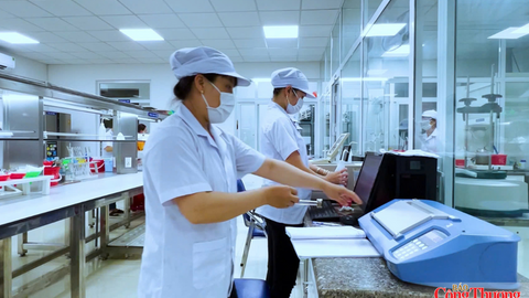 Gia Lai: Chế biến, chế tạo tiếp tục dẫn dắt tăng trưởng công nghiệp