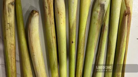 Thức uống hỗ trợ tăng chức năng gan