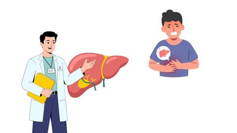 Chuyên gia chỉ cách đảo ngược gan nhiễm mỡ