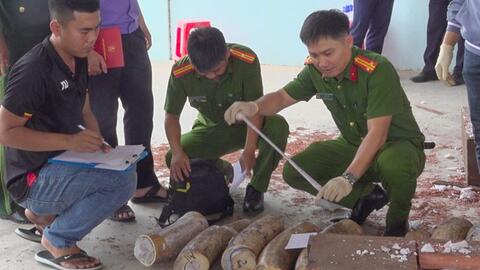 Gia Lai phá vụ giấu gần 1,2 tấn ngà voi trong lô gỗ từ Congo