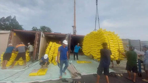 Doanh nghiệp xuất khẩu gạo cần chủ động trước “đòn tâm lý” thị trường