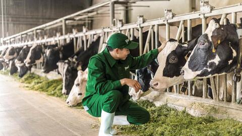 Vinamilk: 50 năm nâng chuẩn để “phụng sự khát vọng Việt"