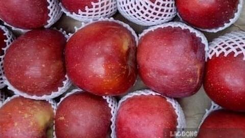 Loại quả hỗ trợ giảm cân lại tốt cho đường ruột