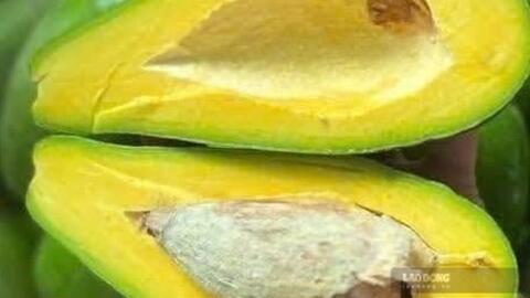 Hỗ trợ ổn định đường huyết bằng cách ăn trái bơ vào buổi tối