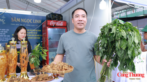 Doanh nghiệp sâm Ngọc Linh thu về hơn 600 triệu đồng tại hội chợ miền Trung - Tây Nguyên