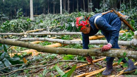 Xúc tiến thương mại mở đường cho gỗ và thủ công mỹ nghệ Việt Nam