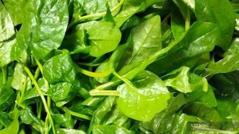 Những điều cần lưu ý khi bổ sung magie ở người mất ngủ