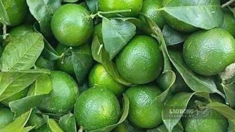 Nước dừa hay nước chanh tốt cho gan