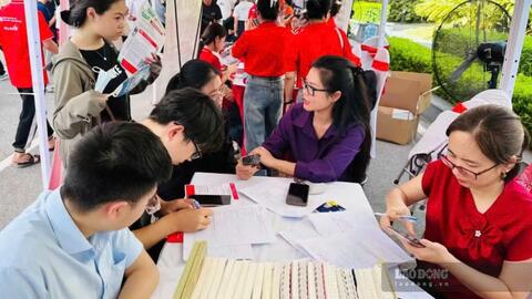 Doanh nghiệp Hà Nội tuyển dụng nhà chuyên môn bậc trung, bậc cao chiếm 42,4% thị trường