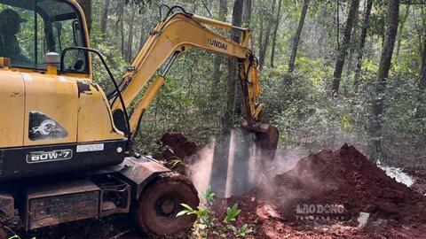 TPHCM tăng cường phòng chống dịch tả heo châu Phi ở xã Xuân Sơn