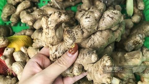 Cách làm trà gừng uống sau bữa tối tốt cho thận