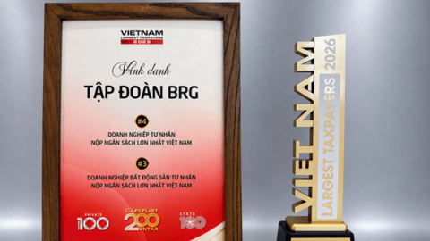 Tập đoàn BRG lọt Top 4 doanh nghiệp tư nhân nộp ngân sách lớn nhất Việt Nam