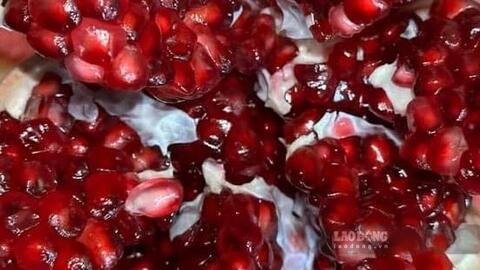 Thực phẩm giàu chất chống oxy hóa hỗ trợ giảm mỡ bụng