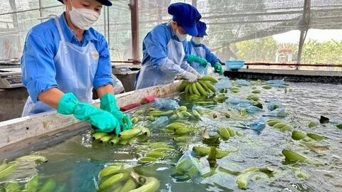 Chuyên gia 'hiến kế' để doanh nghiệp Việt biến cơ hội từ dịch chuyển chuỗi cung ứng thành đơn hàng