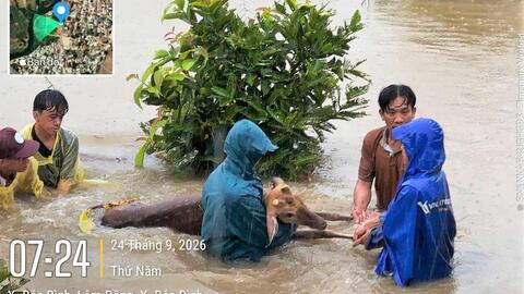 Mưa lớn gây ngập, sạt lở nhiều khu vực ở Lâm Đồng