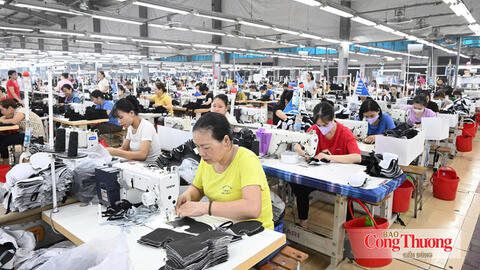 EVFTA: Rào cản từ thị trường và giải pháp để doanh nghiệp Việt vượt qua