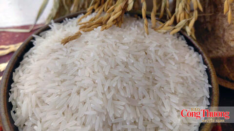 Gạo Việt Nam: Không thể chỉ cạnh tranh bằng giá